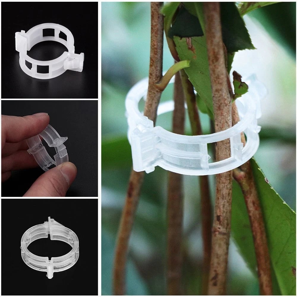 🔥Last Day 49% OFF☘️Plant Support Clips🌙
