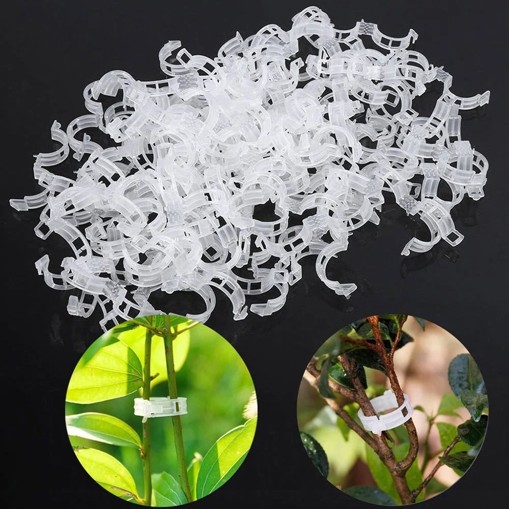 🔥Last Day 49% OFF☘️Plant Support Clips🌙