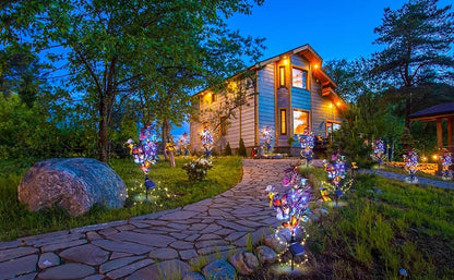 🙌LAST DAY 49% Off😍Solar Outdoor Butterfly Lights🦋💐