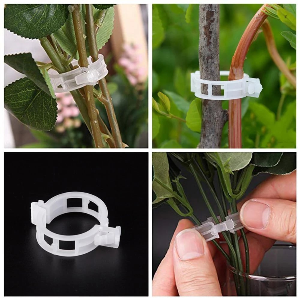 🔥Last Day 49% OFF☘️Plant Support Clips🌙