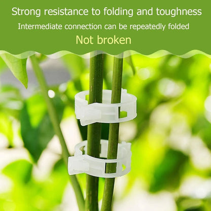 🔥Last Day 49% OFF☘️Plant Support Clips🌙